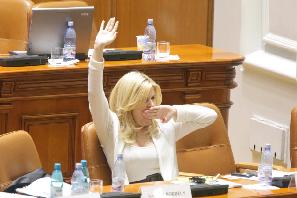 Un tânăr, despre Udrea: Este o persoană &quot;very beautiful&quot;. Vezi o galerie foto inedită cu ministrul 106305