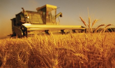 INS: Industria şi agricultura au înregistrat cea mai mare creştere în trimestrul al doilea 