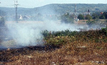 Incendiul din complexul Razelm – Sinoie a fost stins după 7 ore