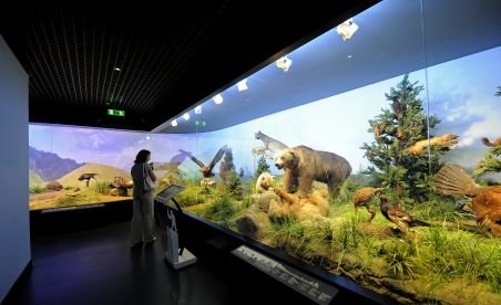 Muzeul Grigore Antipa se redeschide. Peste 2.000 de animale, sunete şi proiecţii 3D