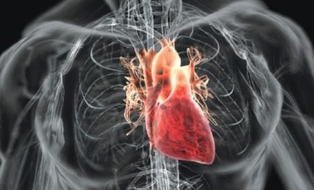 România, pe locul 3 în lume în ceea ce priveşte mortalitatea din cauze cardiovasculare