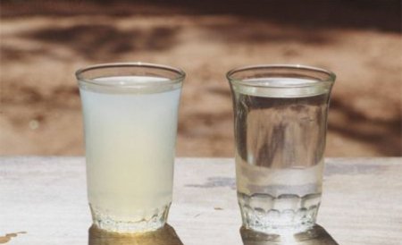O primărie din Dolj a lăsat oamenii să bea apă infestată timp de jumătate de an