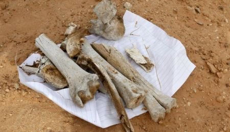 Descoperire macabră în Libia: Peste 1.700 de cadavre, găsite într-o groapă comună