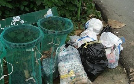 Curăţenie generală în România: Zeci de voluntari de la o firmă de pază au participat la acţiunea de ecologizare