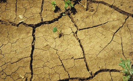 Opt săptămâni de secetă în România. Mâncarea şi energia electrică s-ar putea scumpi