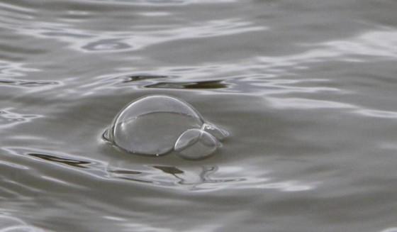 Misterul din adâncuri, care a înghiţit mii de oameni. Triunghiului Bermudelor, tronul Diavolului de pe Terra 109512