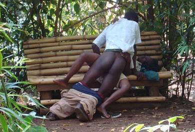 Sex pe bancă, în mijlocul junglei. Fotografiile care îţi vor schimba părerea despre sex 110199