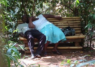 Sex pe bancă, în mijlocul junglei. Fotografiile care îţi vor schimba părerea despre sex 110200