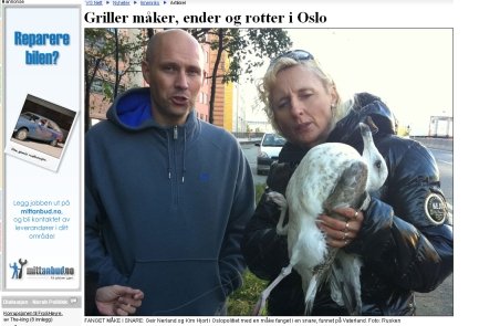 Presa norvegiană: Românii fără adăpost din Oslo mănâncă şobolani şi câini la grătar 