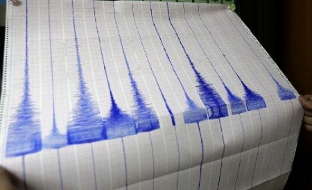Un cutremur de 3,9 pe Richter a avut loc joi, în Vrancea