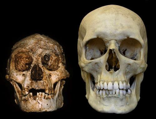 Ce ne rezervă viitorul. Vezi un top cu cele mai tari suprize pe care le vom întâlni peste sute de ani 110680