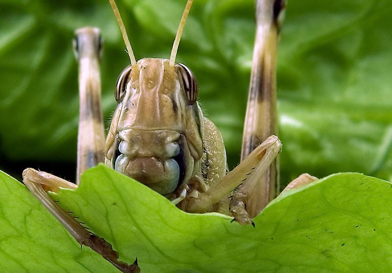 Mai mulţi bani în portofelul tău. Vezi un top cu cele mai tari joburi pe care le poţi face 110888