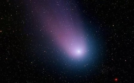 Cometa Elenin trece duminică pe lângă Terra