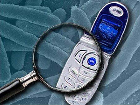 92% dintre telefoanele mobile au pe ele bacterii periculoase pentru om
