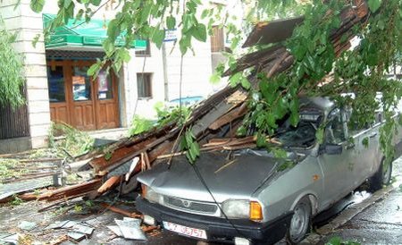 Bilanţul furtunii din Constanţa: Copaci rupţi, maşini avariate şi localităţi fără apă potabilă