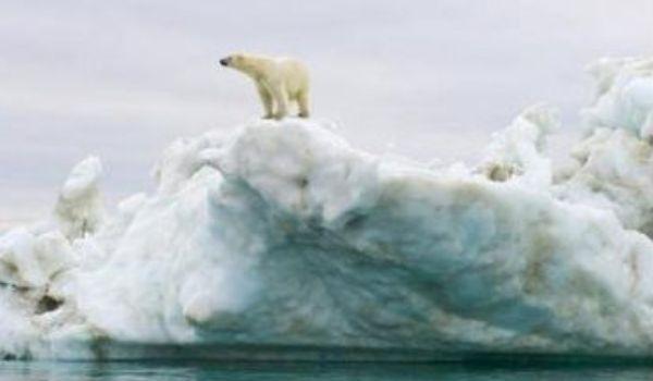 Încălzirea globală îţi va distruge dimineţile. Licoarea &quot;magică&quot; ce te trezeşte va dispărea! 112022