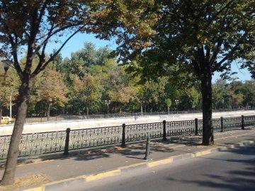 Din categoria &quot;Eterna Românie&quot;: ambulanţă folosită la cărat lemne. Vezi un top cu cele mai &quot;pitoreşti&quot; imagini 112064