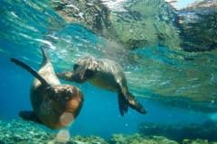 Ia-ţi porţia de bună dispoziţie. Închide ochii şi porneşte către cele mai tari insule din lume 113221