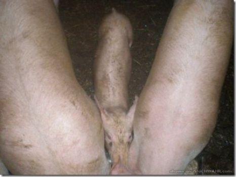 Testul care îţi va demostra că eşti obsedat sexual! Te ţine să îl faci? 113092