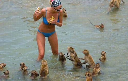 De ce e mai bine iarna decât vara? Pentru că nu vezi aşa ceva! Poze extravagante de la malul mării 113482