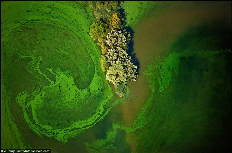 Nu vei ghici niciodată ce reprezintă aceste fotografii. Realitatea te va şoca! 113608