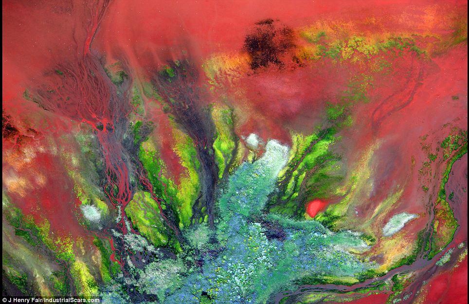 Nu vei ghici niciodată ce reprezintă aceste fotografii. Realitatea te va şoca! 113610