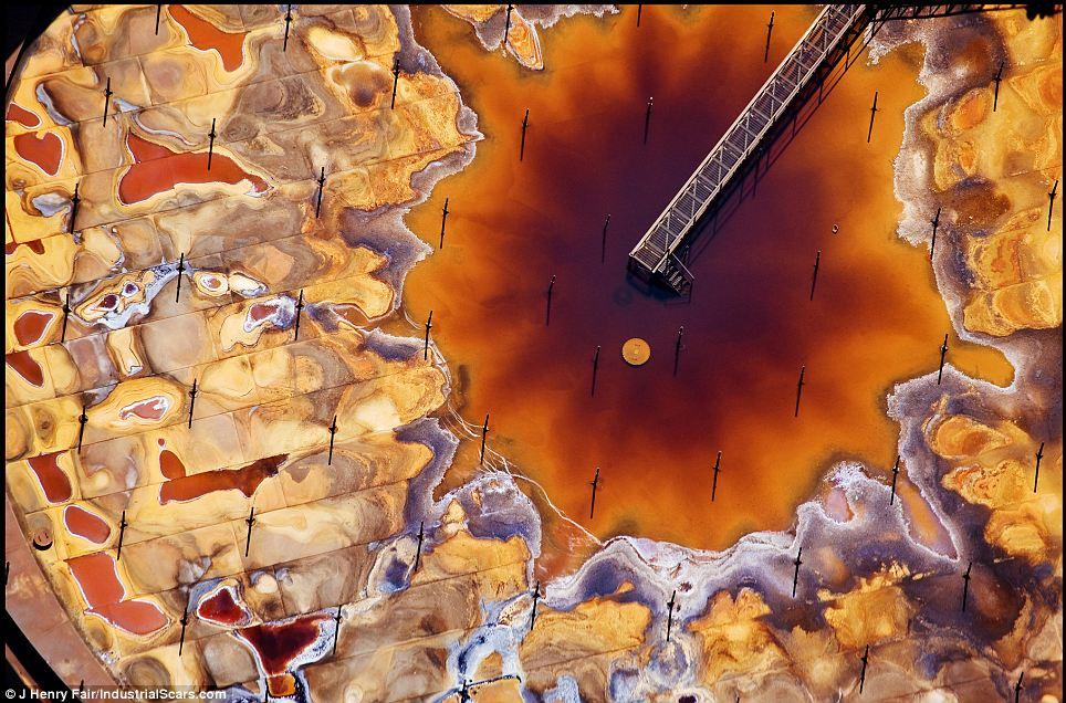 Nu vei ghici niciodată ce reprezintă aceste fotografii. Realitatea te va şoca! 113611