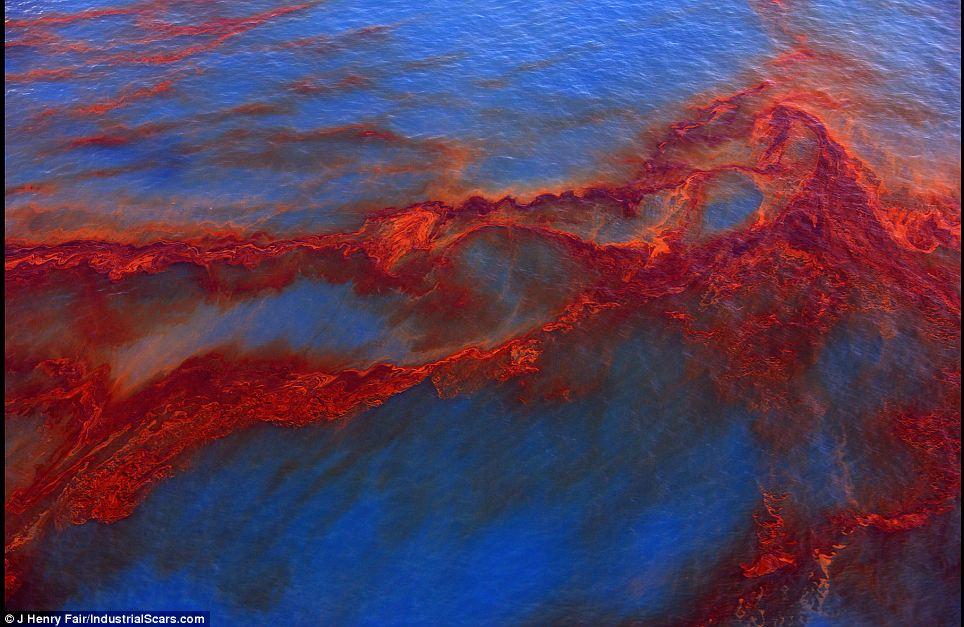 Nu vei ghici niciodată ce reprezintă aceste fotografii. Realitatea te va şoca! 113613