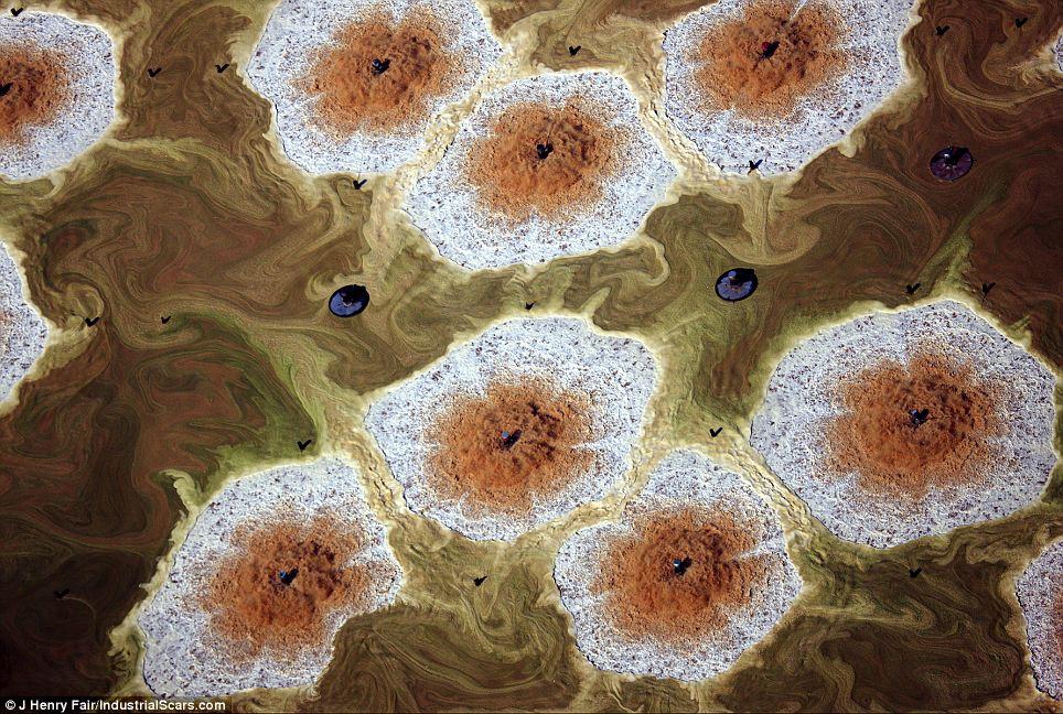 Nu vei ghici niciodată ce reprezintă aceste fotografii. Realitatea te va şoca! 113614