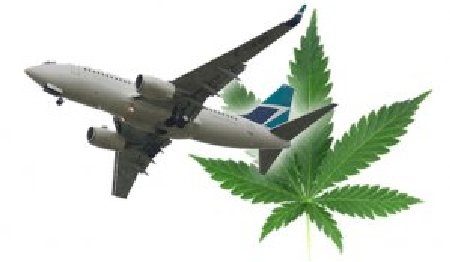 Rusia. Pilotul unui avion a consumat cannabis înainte de a efectua o cursă cu 192 de pasageri