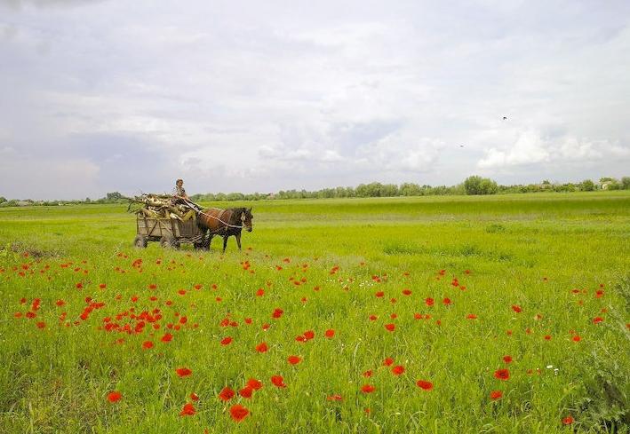 273 de locuri pe care trebuie să le vezi înainte să pleci din România. Merită ţara noastră o şansă? 117165
