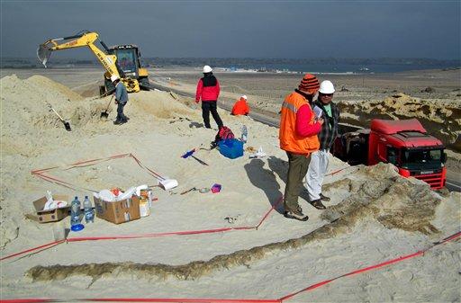 75 de balene în cel mai arid deşert din lume! Care este explicaţia acestei descoperiri fenomenale 117349