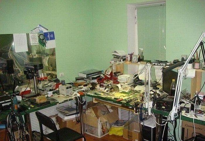 Îţi va lua o zi întreagă să găseşti pisicile ascunse. Numai cei atenţi le pot vedea 117267