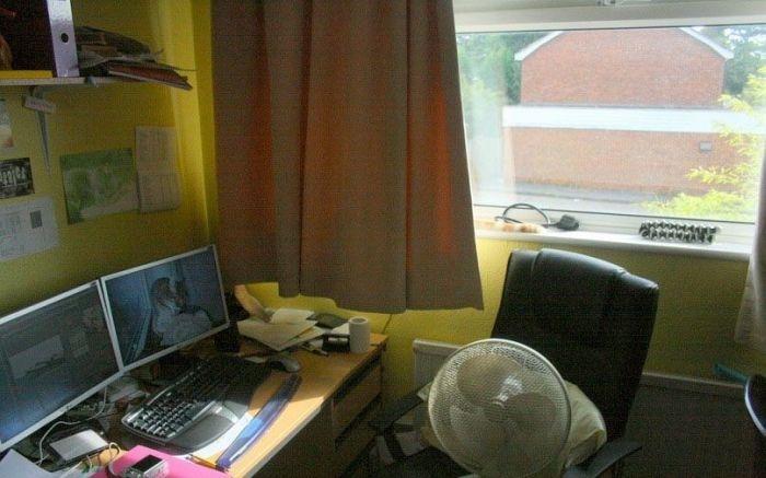 Îţi va lua o zi întreagă să găseşti pisicile ascunse. Numai cei atenţi le pot vedea 117268