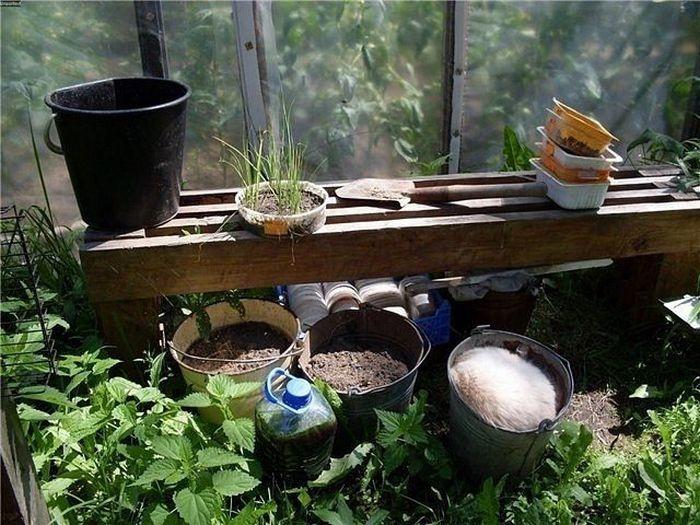 Îţi va lua o zi întreagă să găseşti pisicile ascunse. Numai cei atenţi le pot vedea 117269