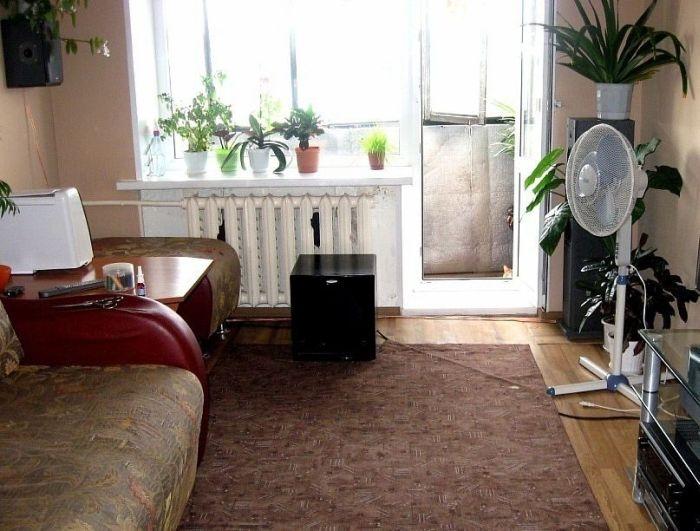 Îţi va lua o zi întreagă să găseşti pisicile ascunse. Numai cei atenţi le pot vedea 117275