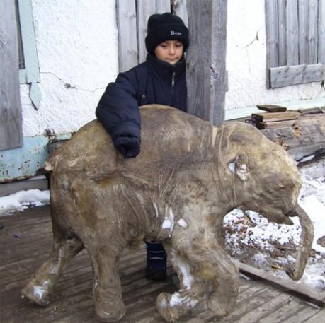 Monstrul care a băgat în sperieţi lumea, găsit pe o plajă din New York. Vezi explicaţia specialiştilor 117475