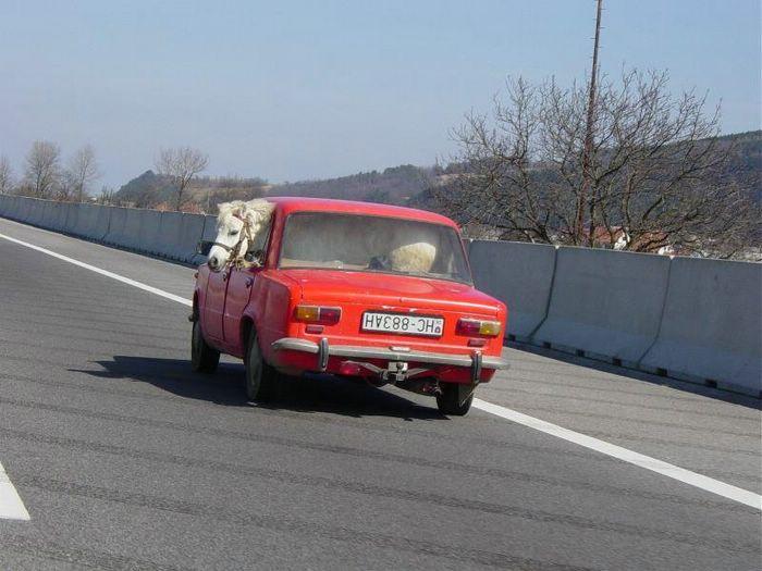 Nu-ţi va veni să crezi când vei vedea ce au atârnat de balcon. Foto 100% reală 118937