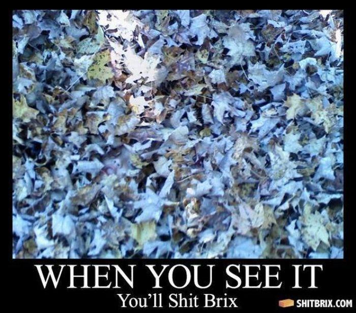 Numai 1% din cei care se uită o pot vedea. Imaginea care te va diferenţia de restul lumii 119712