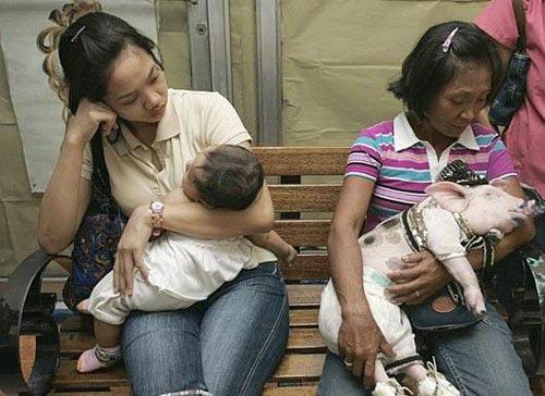 N-a fost pescuită din mare! &quot;Diva&quot;, la un pas să rupă targa  119997