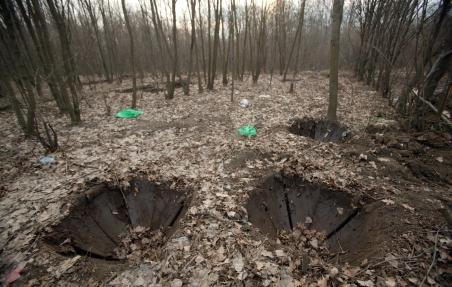 Peste 15 hectare de pădure, defrişate pentru extinderea unui depozit de zgură