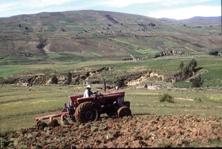 ONU: Un sfert din suprafaţa arabilă a lumii, prea degradată pentru a mai fi utilizată în agricultură