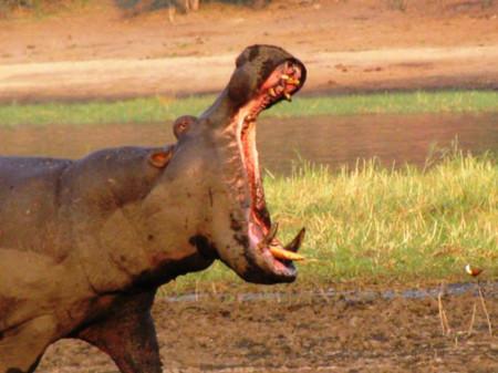 Te-ar putea ucide şi pe tine! Statisticile care îţi vor schimba percepţia asupra morţii!  121103