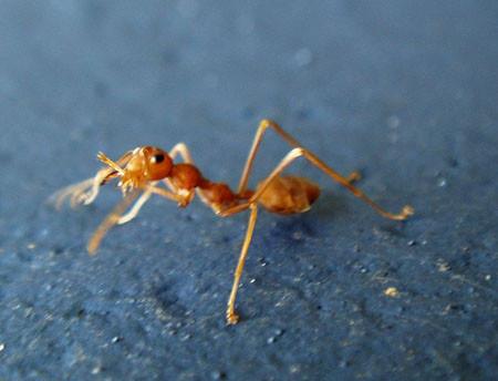 Te-ar putea ucide şi pe tine! Statisticile care îţi vor schimba percepţia asupra morţii!  121110