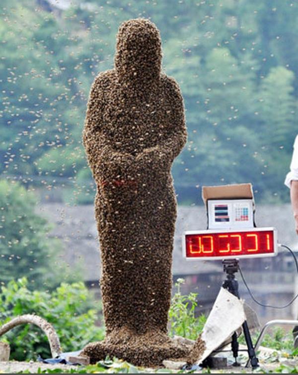 Top 10 cele mai bizare ştiri ale anului 2011: Rechinul ciclop şi câinele fosforescent se numără printre ele 121235