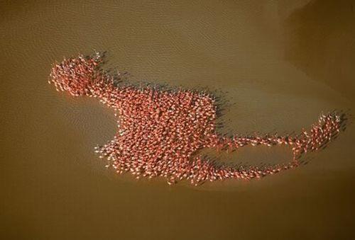 Realitatea, mai bizară ca Photoshop-ul! N-o să crezi că imaginile acestea NU sunt retuşate 121322