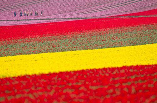 Realitatea, mai bizară ca Photoshop-ul! N-o să crezi că imaginile acestea NU sunt retuşate 121324