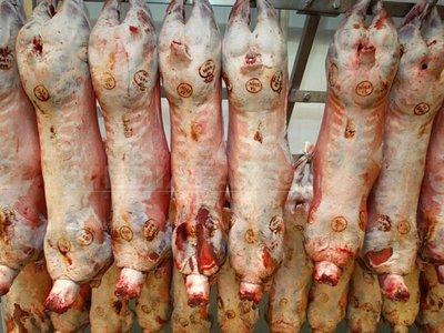 Au apărut primele cazuri de trichineloză la porcii tăiaţi pentru Crăciun