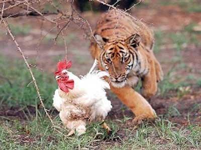 Cine este Kim Jong-Un? Singurele lucruri care se cunosc despre moştenitorul Coreei de Nord 122135