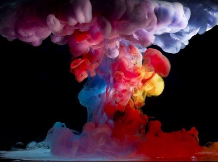 Explozie de culoare! Fotografiile care ÎŢI VOR TĂIA RESPIRAŢIA! 122081